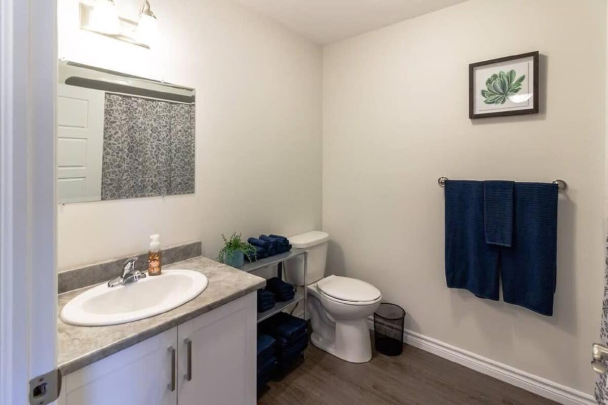 Newly Renovated Modern Condo Near Hospital, Unb Patio & Parking Coffee Saint John Exteriér fotografie